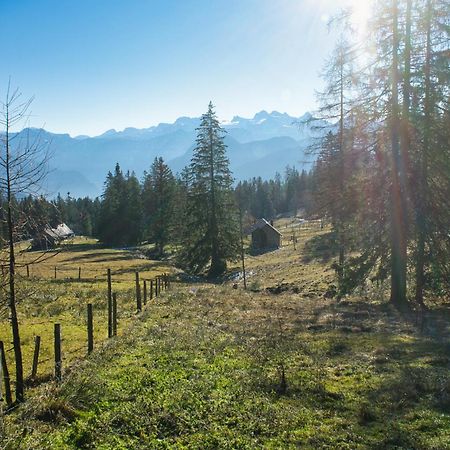 Ferienwohnung Panoramaglueck Bad Goisern Exteriér fotografie